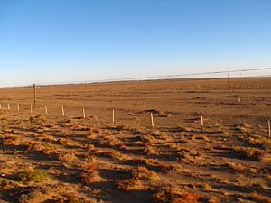 モンゴル草原の朝